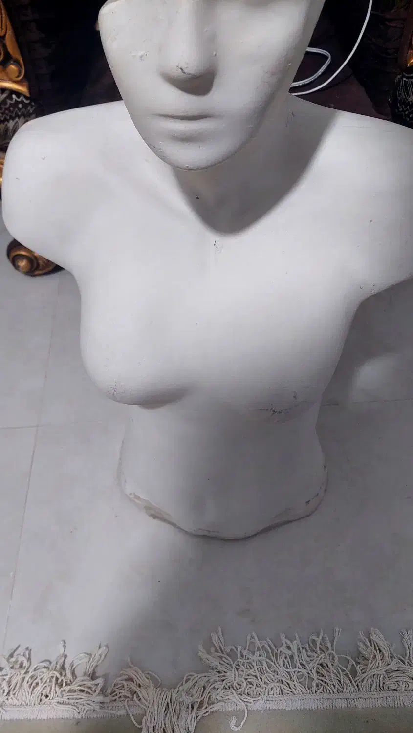 مانکن ۱۰ تیل چوب لباسی و صندلی|لوازم خیاطی و بافتنی|شیروان (خراسان), |دیوار