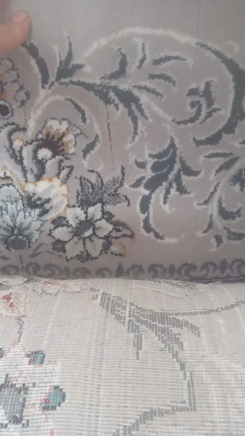 دوتخته فرش ۱۲ متر ۷۰۰ شانه|فرش|نوده انقلاب, |دیوار