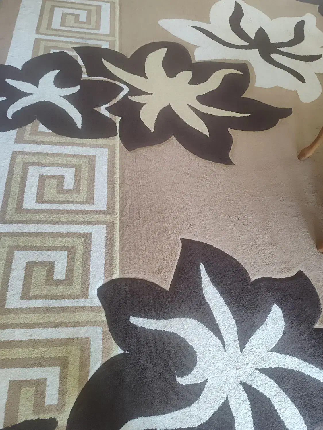 گلیم فرش|گلیم، جاجیم، گبه|اصفهان, دانشگاه اصفهان|دیوار