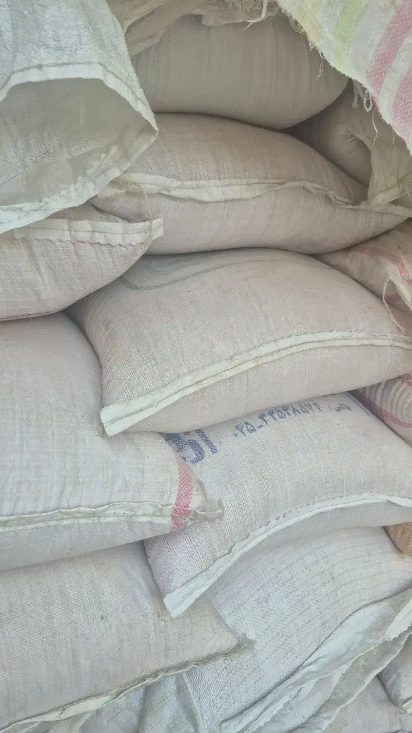 بذر گندم کبیر یا قابوس|عمدهفروشی|مشگین شهر, |دیوار