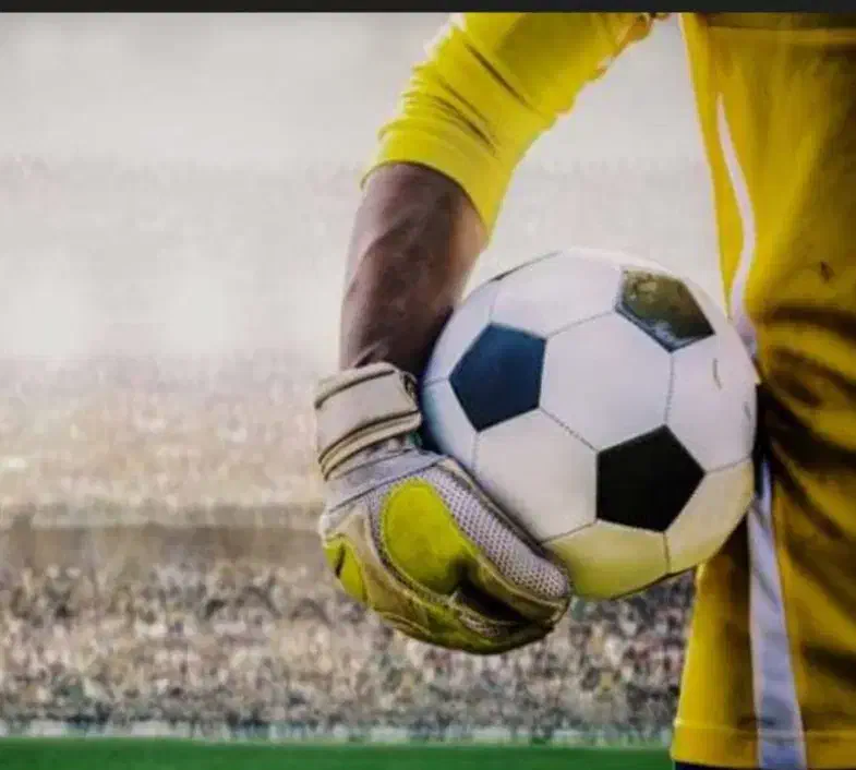 آموزش دروازبانی|ورزشهای توپی|تبریز, |دیوار