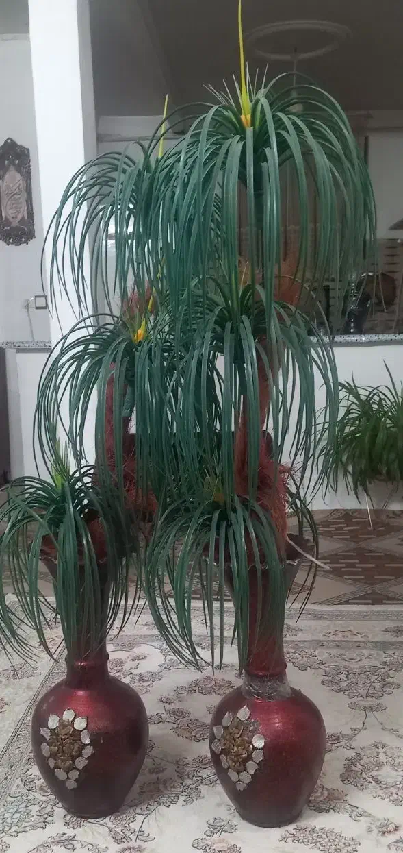 گلدان|گل مصنوعی|الیگودرز, |دیوار