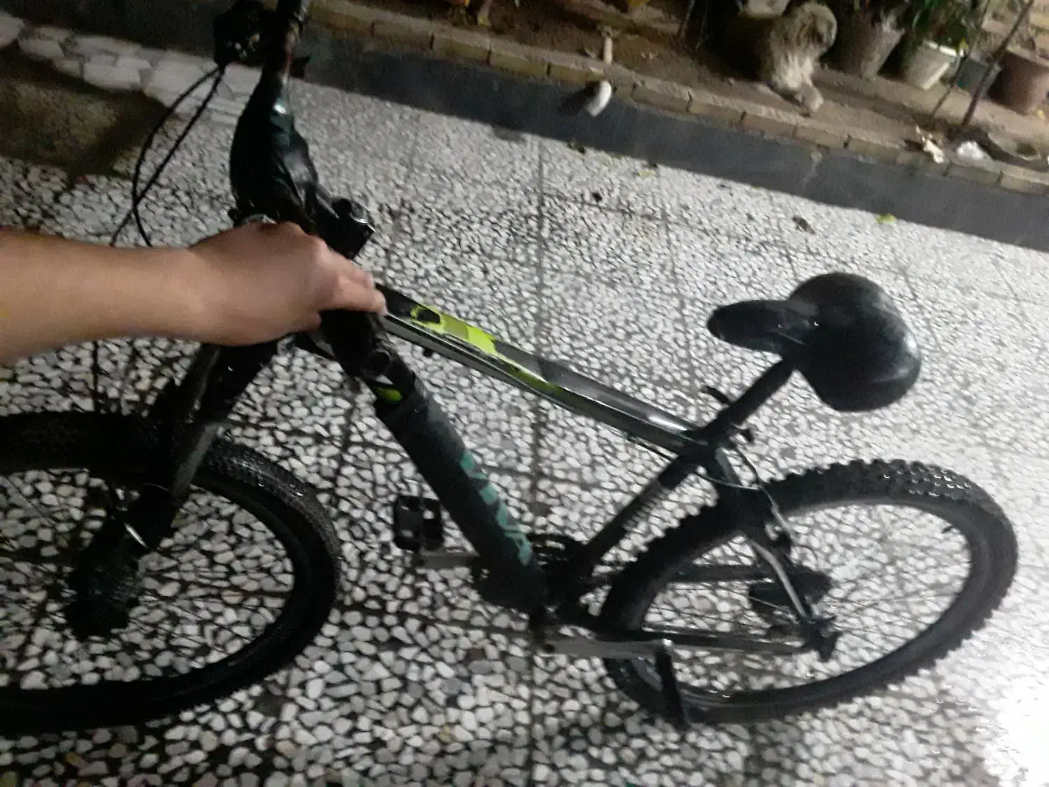 دوچرخه ویوا اصل در حد نو|دوچرخه، اسکیت، اسکوتر|ایذه, |دیوار