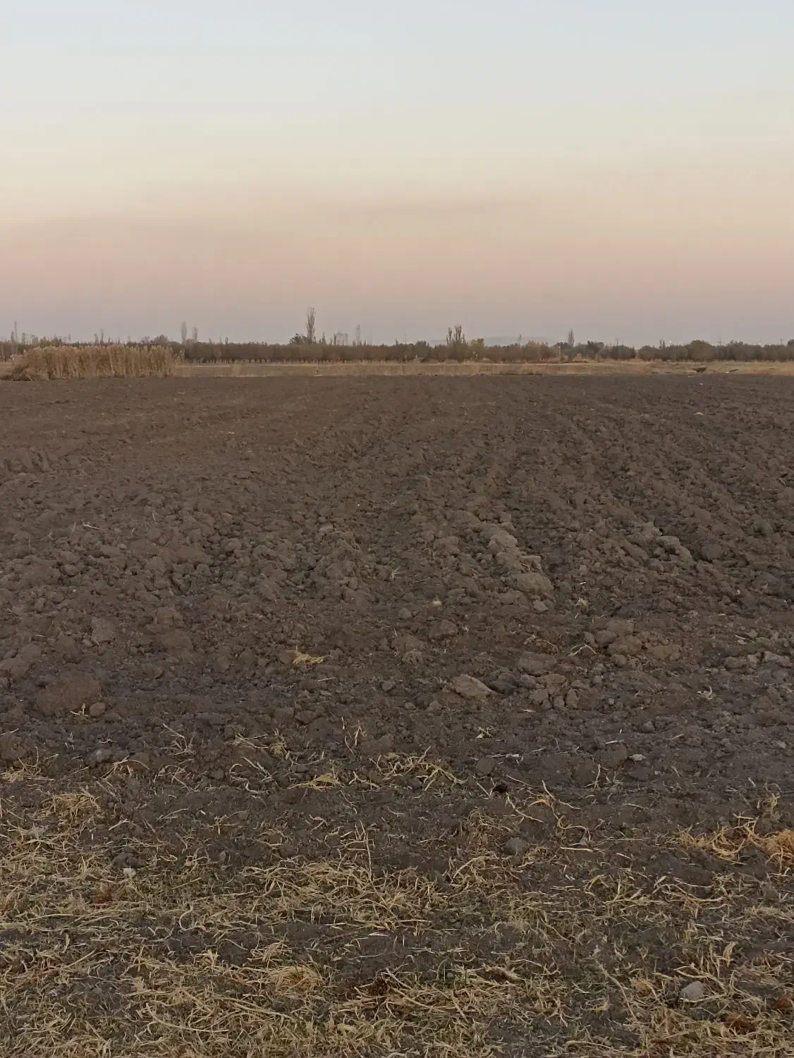 زمین آبی|اجارهٔ دفتر صنعتی، کشاورزی، تجاری|نقده, |دیوار