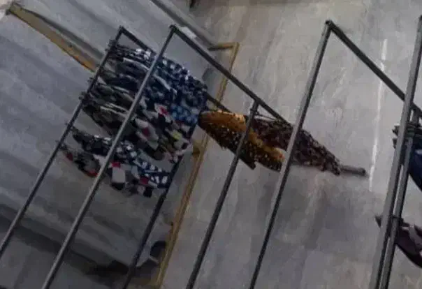 فوری فروش رگال لباس وتولیدی|فروشگاه و مغازه|قرچک, صالح آباد|دیوار