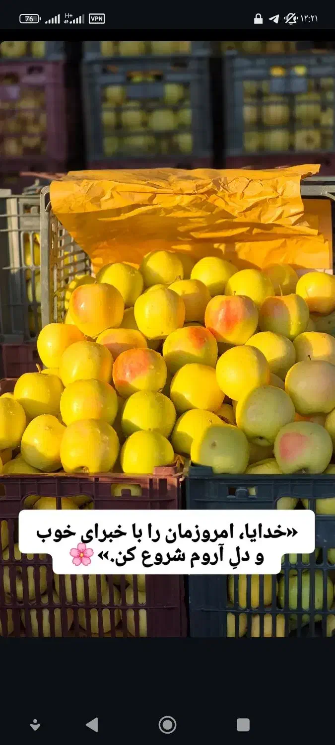 نیاز مند شاگرد برای میوه فروشی|استخدام بازاریابی و فروش|شهرکرد, |دیوار