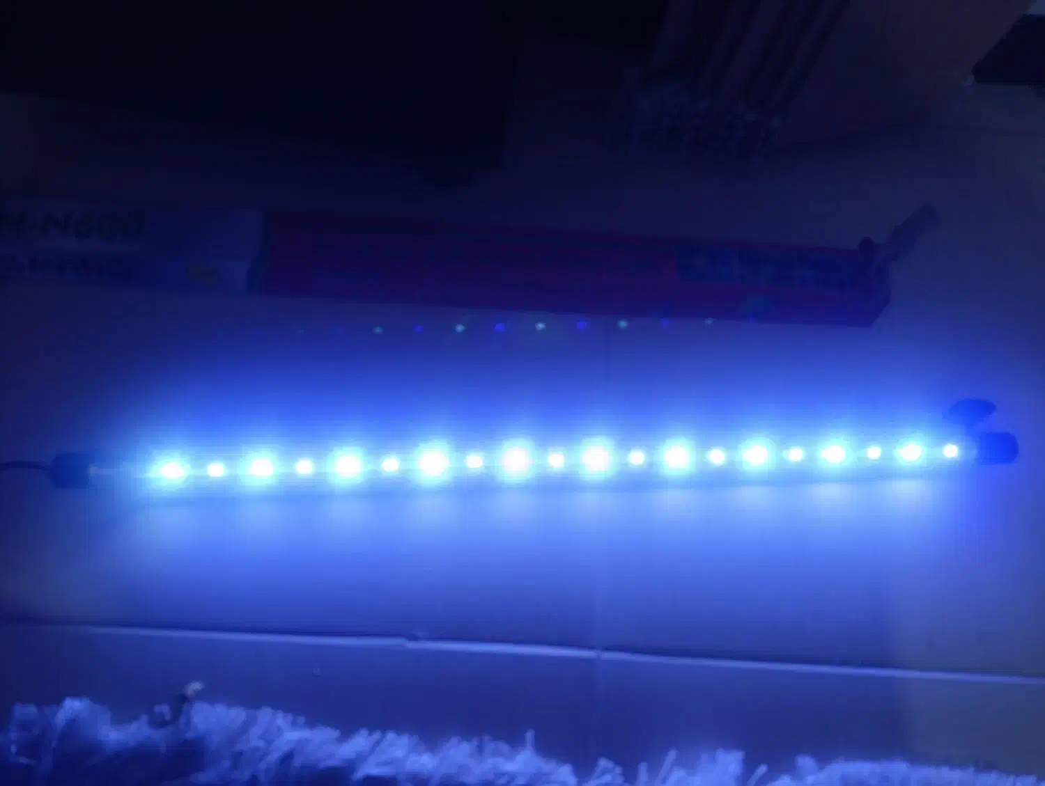 LED آکواریوم|ماهی|شیراز, میانرود|دیوار