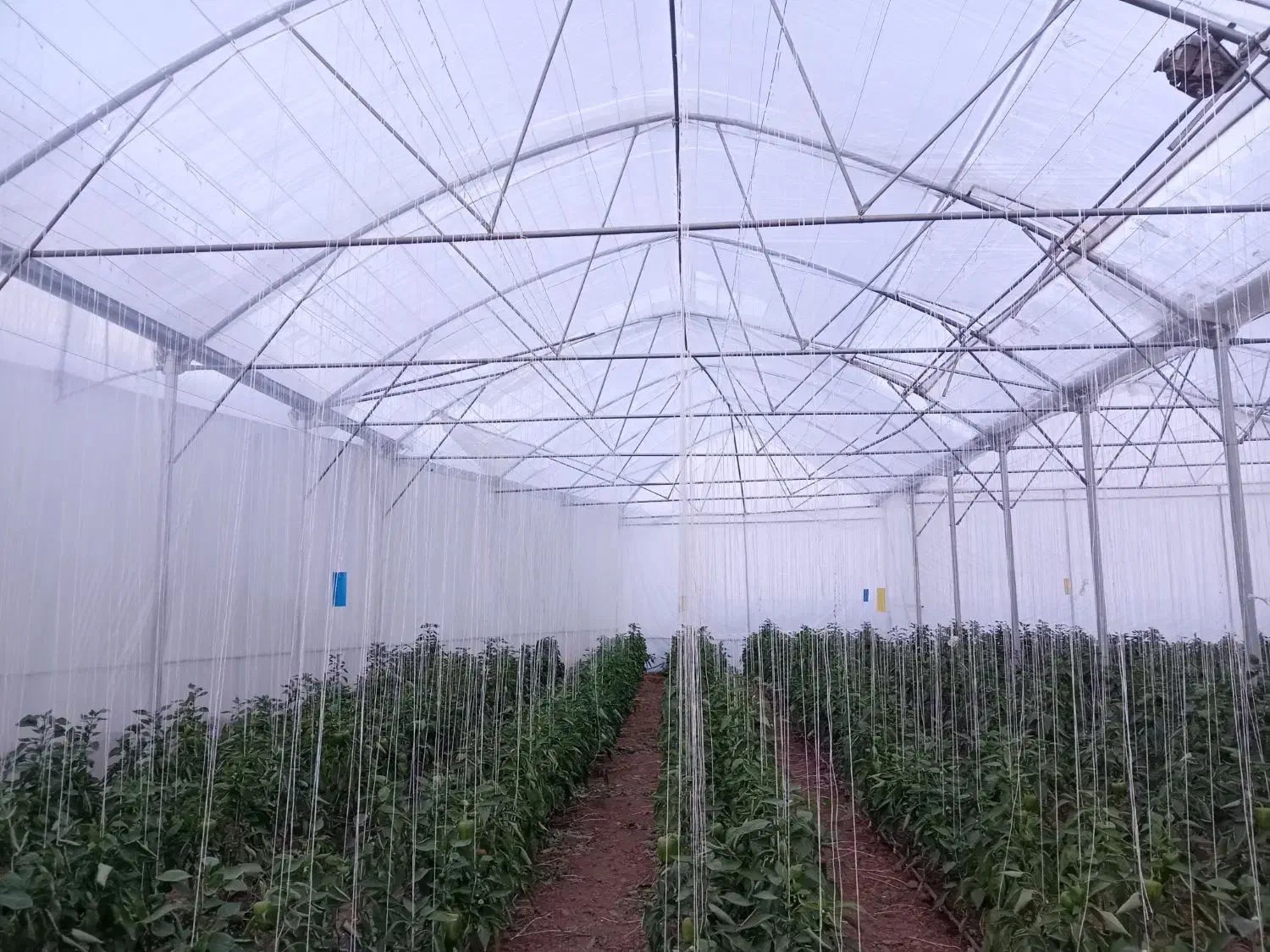 تعمیرات گلخانه صفر تا صد|خدمات پیشه و مهارت|تیران, |دیوار