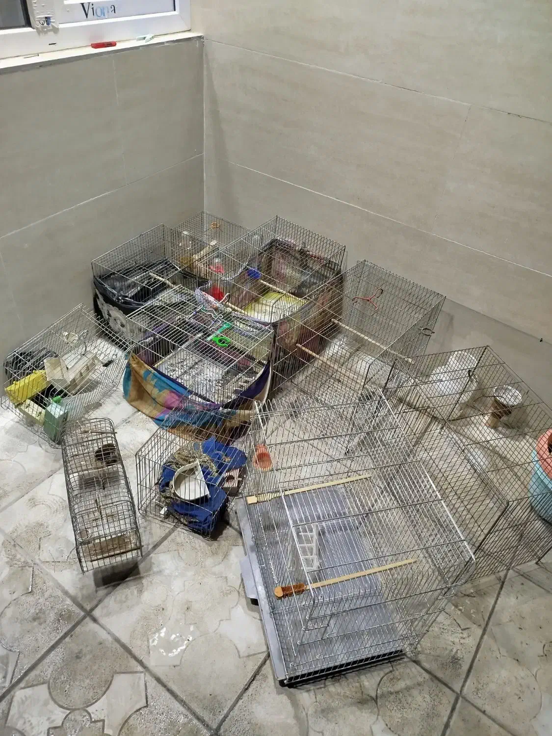 قفس|لوازم جانبی حیوانات|سنندج, |دیوار