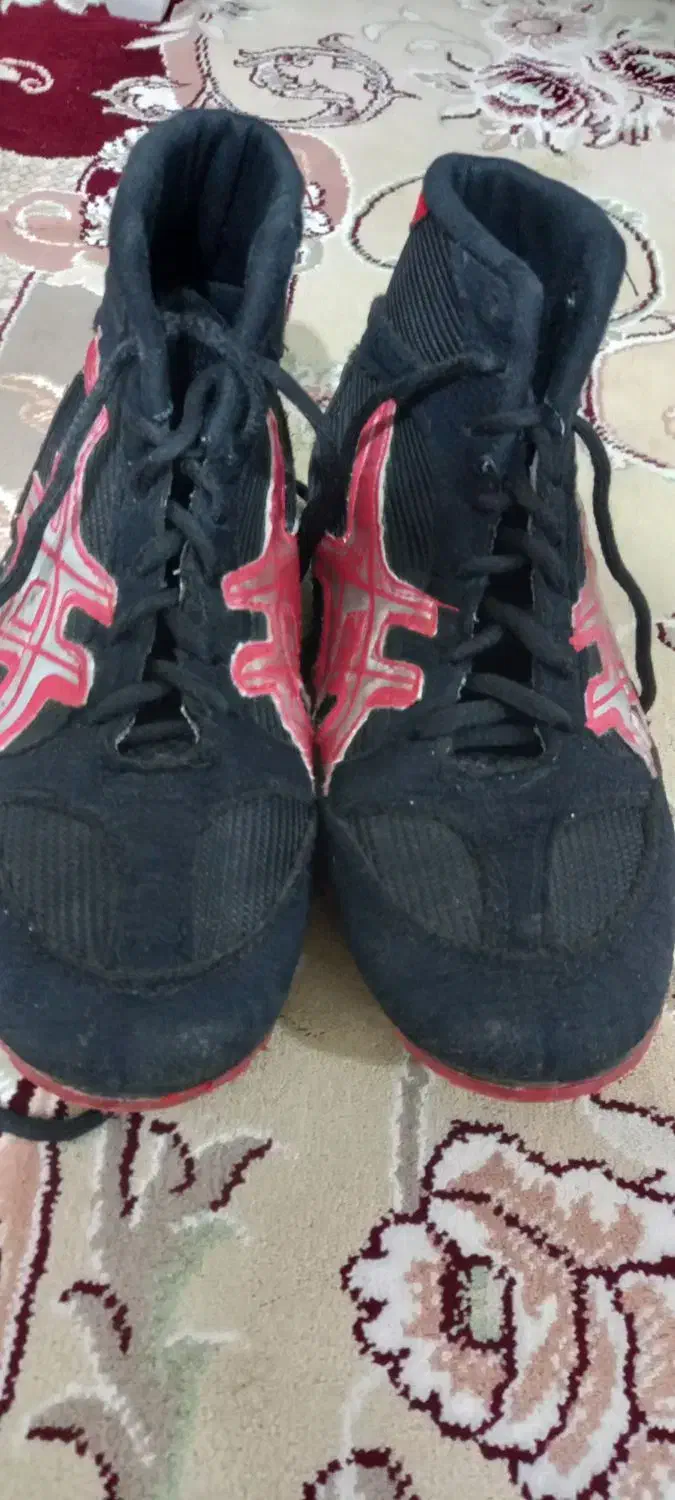 کفش کشتی|کیف، کفش، کمربند|اردبیل, |دیوار