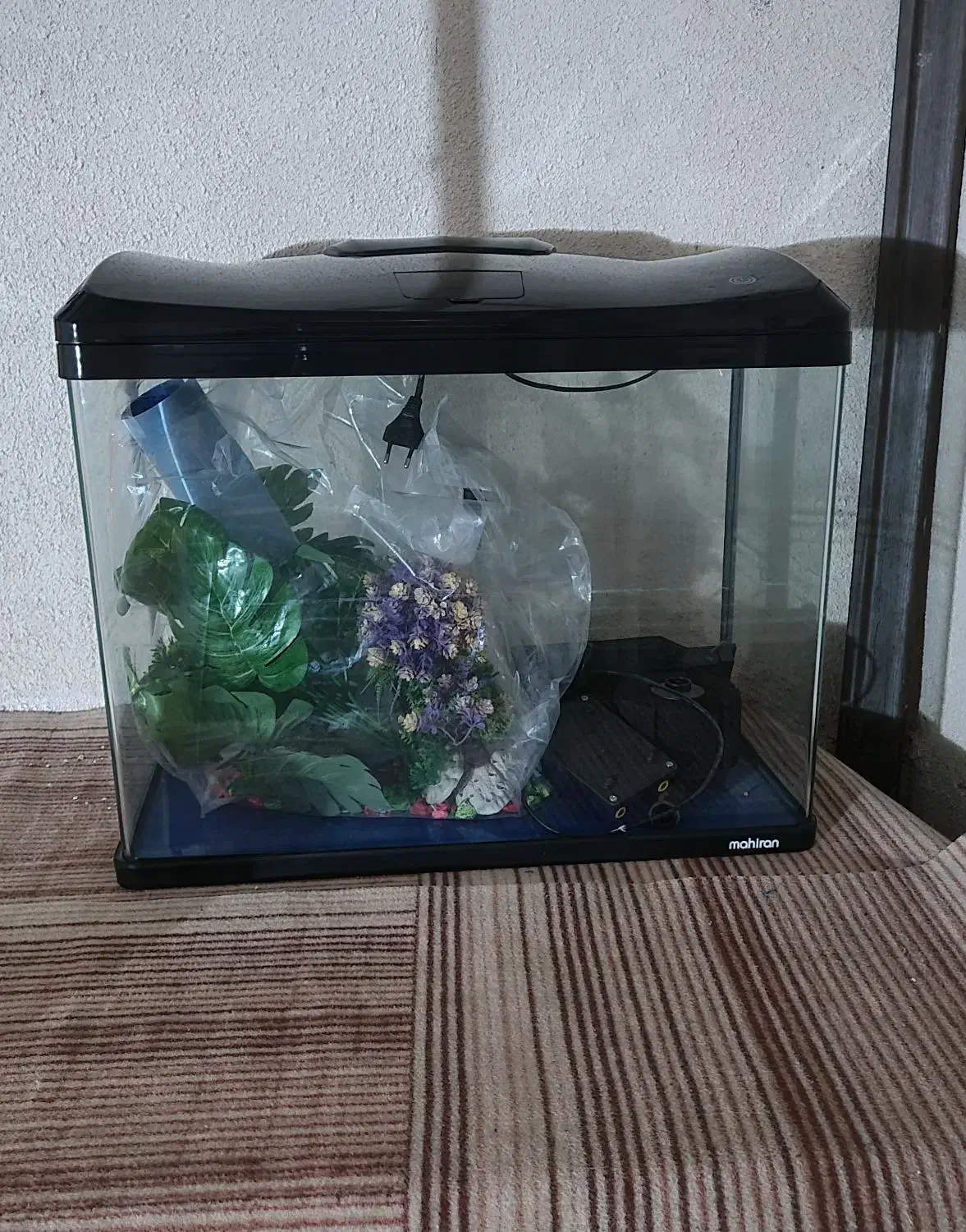 آکواریوم ماهیران|ماهی|مشهد, کوی سیدی|دیوار