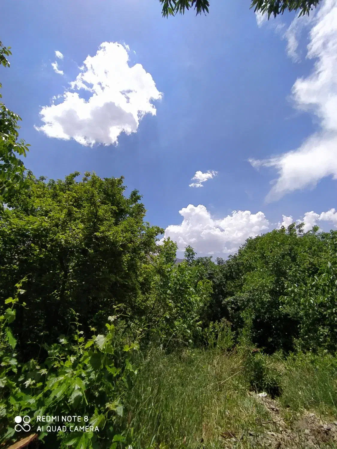 300 متر کنار رودخانه|فروش دفتر صنعتی، کشاورزی، تجاری|زاینده رود, |دیوار