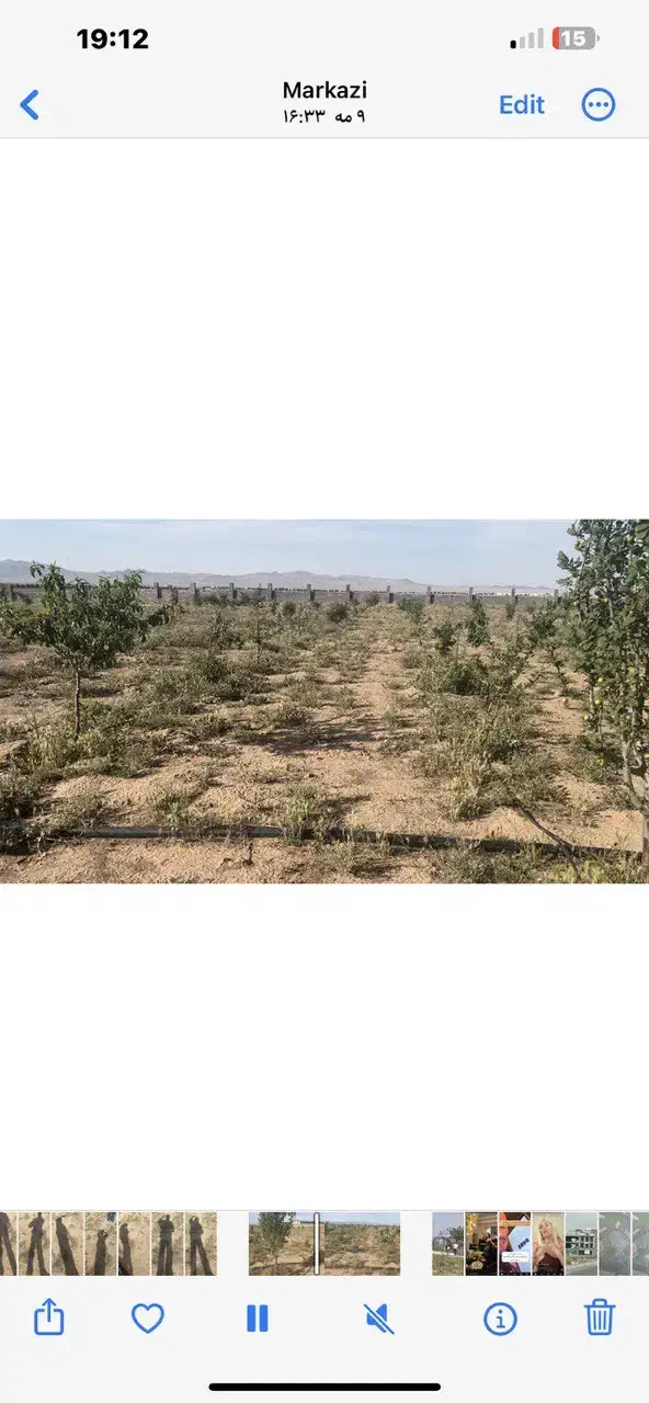 باغچه|فروش زمین و ملک کلنگی|زرندیه, |دیوار