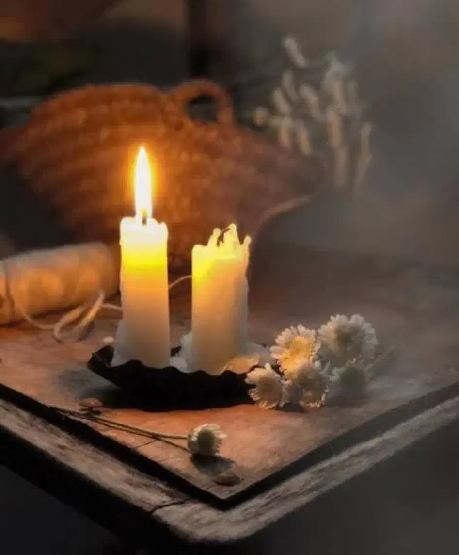 فال دارچین وشمع۵۰|خدمات پذیرایی، مراسم|بندر امام خمینی, |دیوار