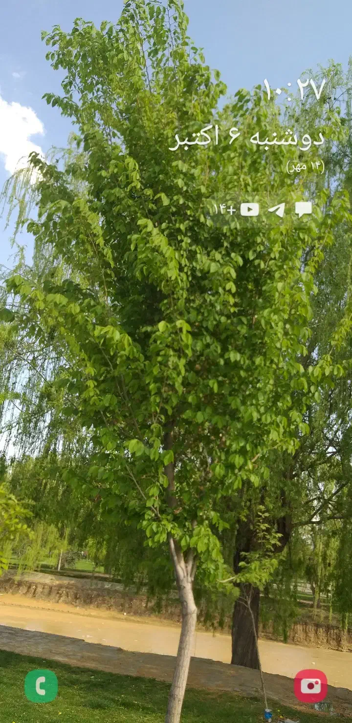 قطعه زمین کشاورزی|فروش زمین و ملک کلنگی|تسوج, |دیوار