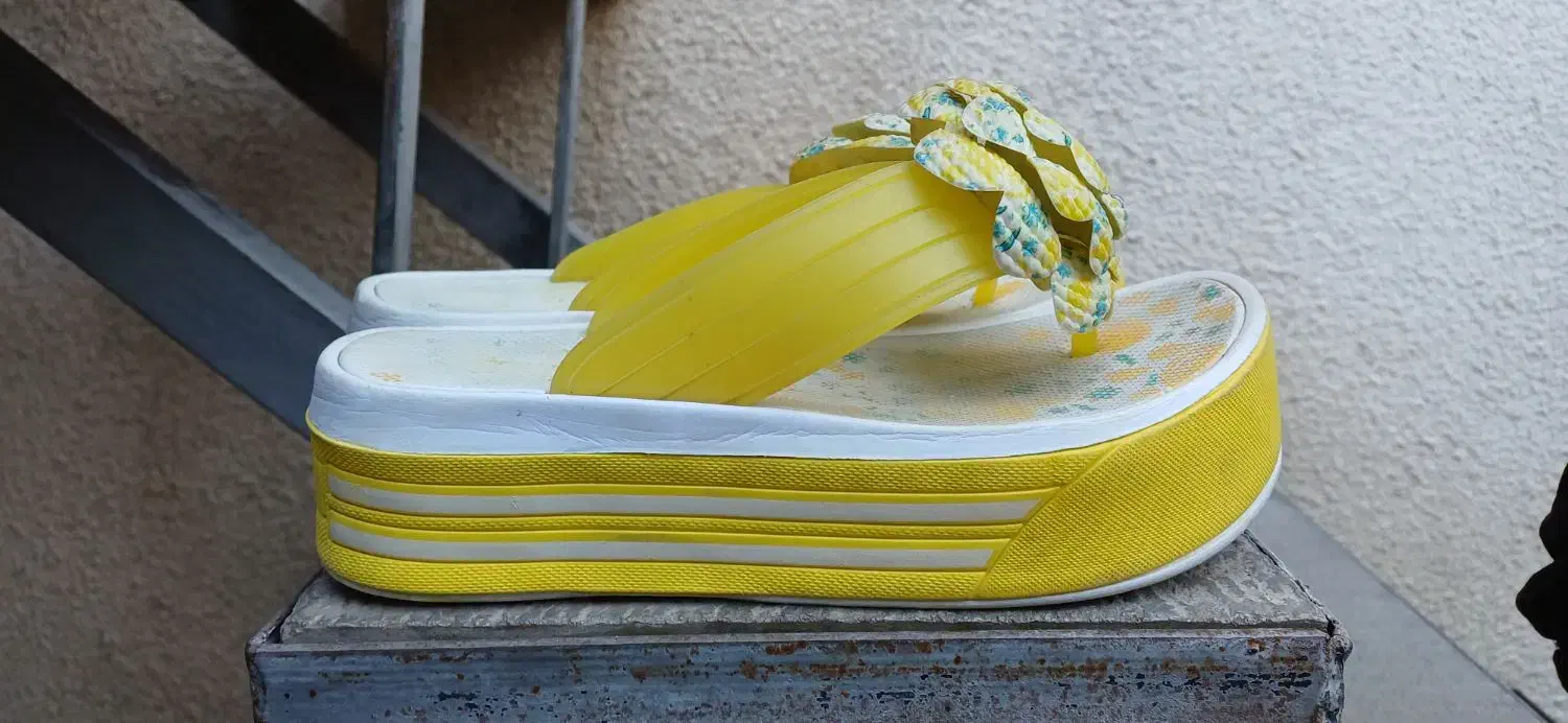 دمپایی زنانه|کیف، کفش، کمربند|خوی, |دیوار