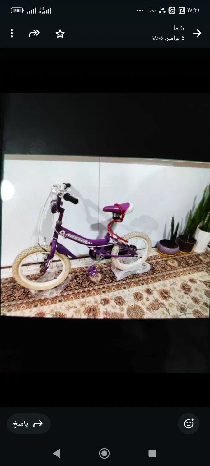 دوچرخه|دوچرخه، اسکیت، اسکوتر|صدرا-فارس, فاز ۱|دیوار