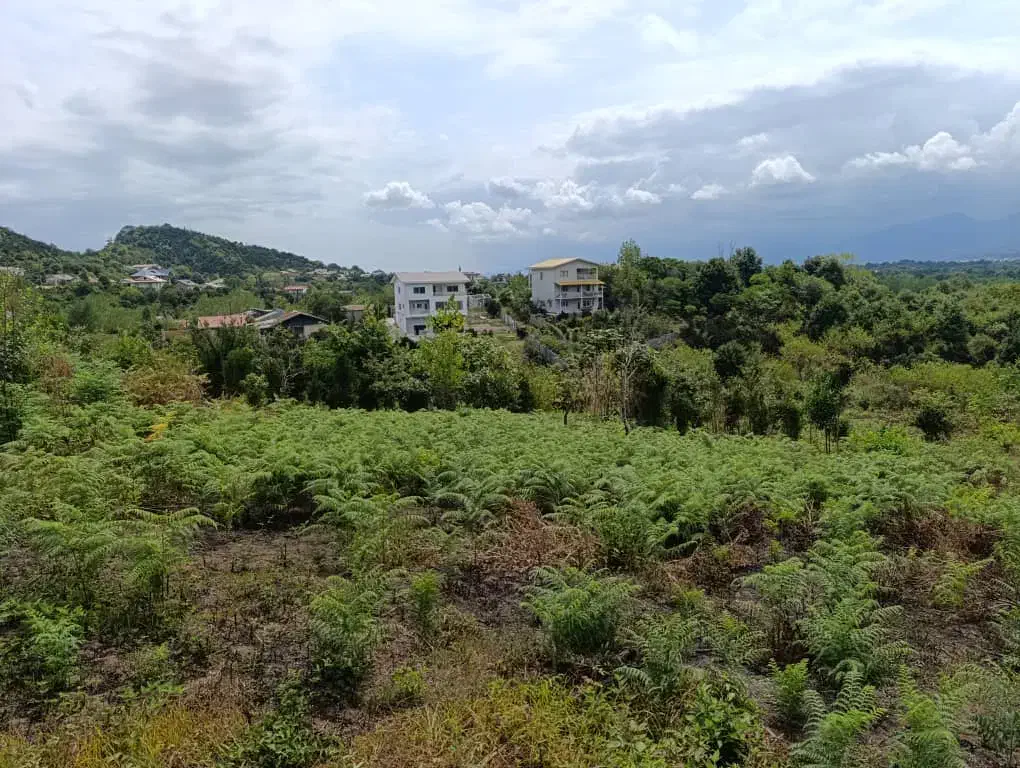 زمین باغی واقع دربام سبز کومله|فروش زمین و ملک کلنگی|کومله, |دیوار