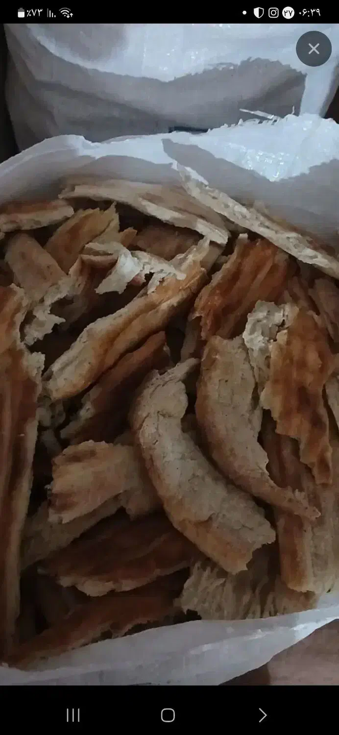 نان خشک|لوازم جانبی حیوانات|مشگین شهر, |دیوار