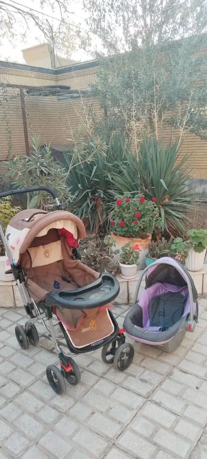 کالسکه|کالسکه و لوازم جانبی|سبزوار, توحیدشهر|دیوار