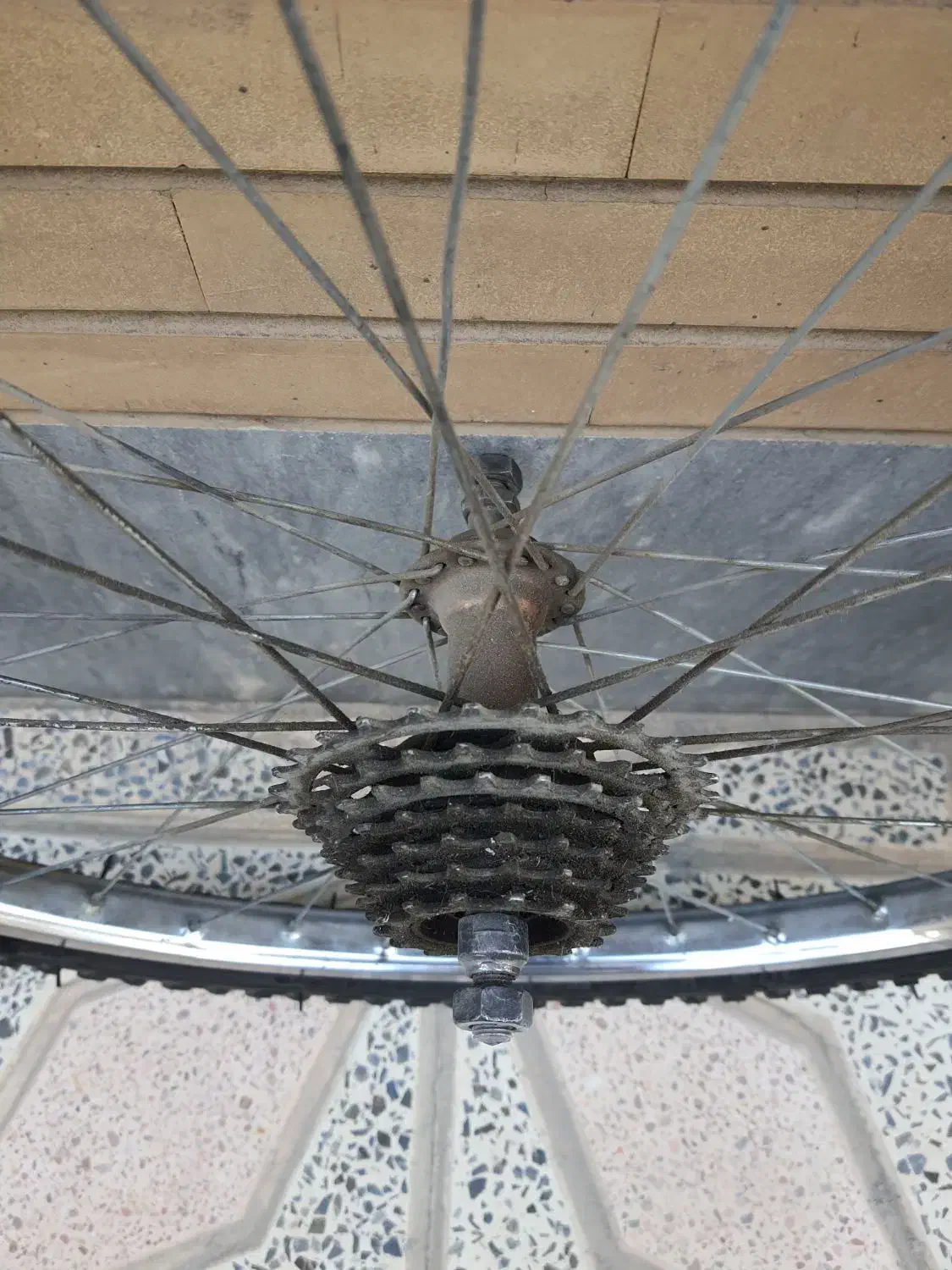 رینگ و لاستیک نو دوچرخه تایوانی|دوچرخه، اسکیت، اسکوتر|اصفهان, کشاورزی|دیوار