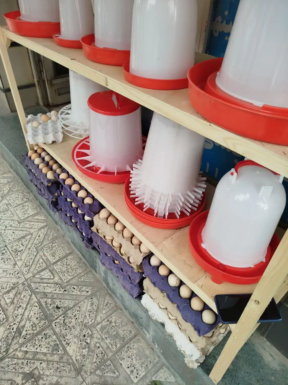 دستگاه جوجه کشی داتیکس دماوند|لوازم جانبی حیوانات|گرگان, |دیوار