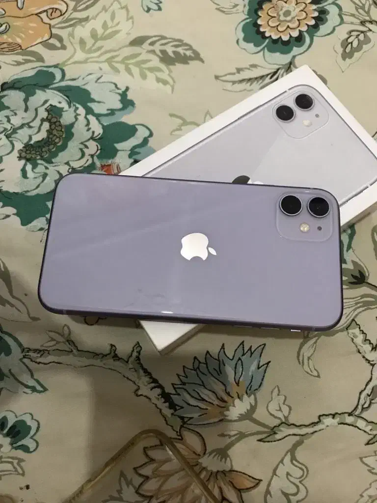 آیفون ۱۱ پلمپ|موبایل|رامسر, |دیوار