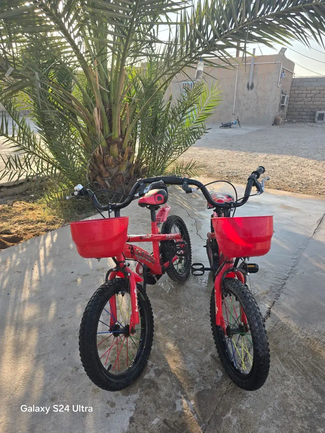 فروش دوچرخه|دوچرخه، اسکیت، اسکوتر|دیلم, |دیوار