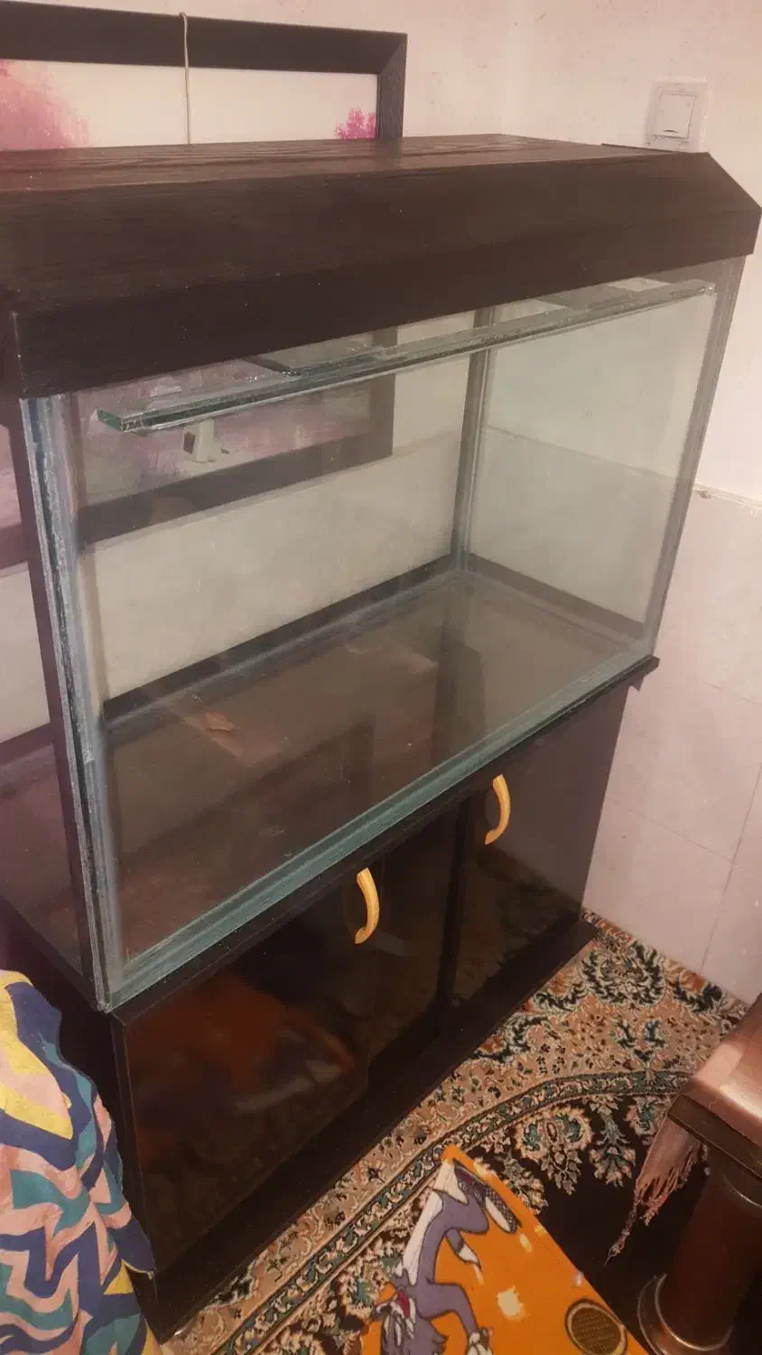 آکواریم با میز ام دی اف نوع|ماهی|شیراز, بالا کفت|دیوار