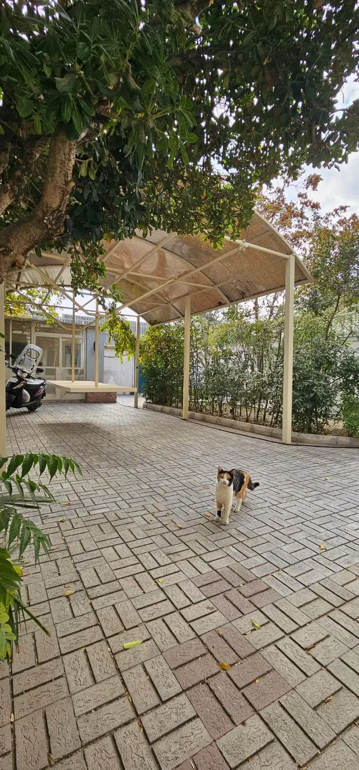 ۵۰۰متر بنا با ۳۰۰متر حیاط دربست پارک هنرمندان