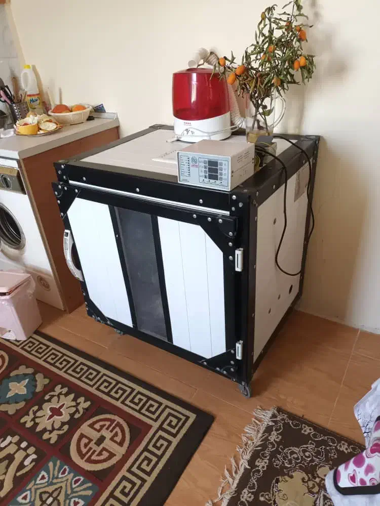 لوازم جانبی حیوانات|لوازم جانبی حیوانات|ساری, |دیوار