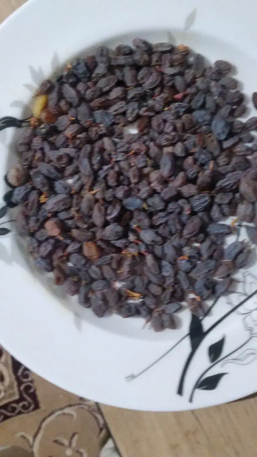 فروش کشمش سبز و کشمش آفتابی|خوردنی و آشامیدنی|بوانات, |دیوار