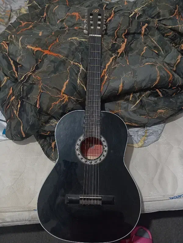 گیتار|گیتار، بیس، امپلیفایر|ری, فیروزآبادی|دیوار