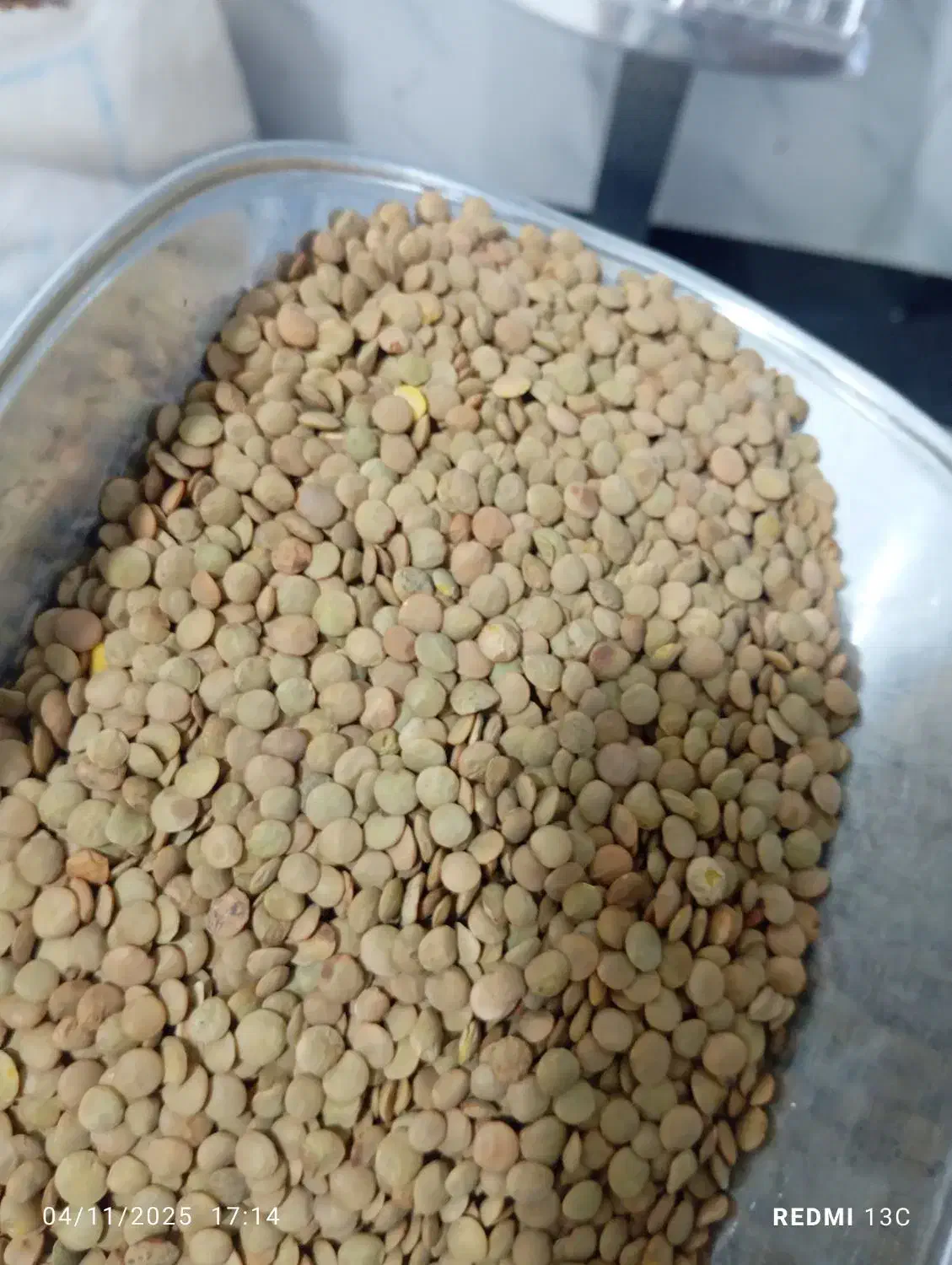 عدس|خوردنی و آشامیدنی|قم, شهید صیاد شیرازی|دیوار