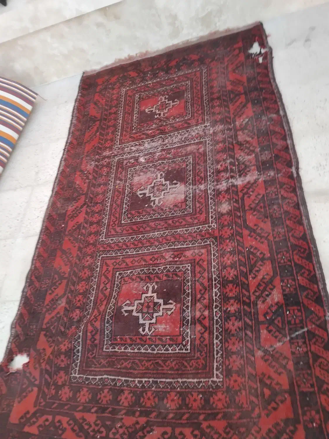 فرش دستباف|فرش|مشهد, نوده|دیوار