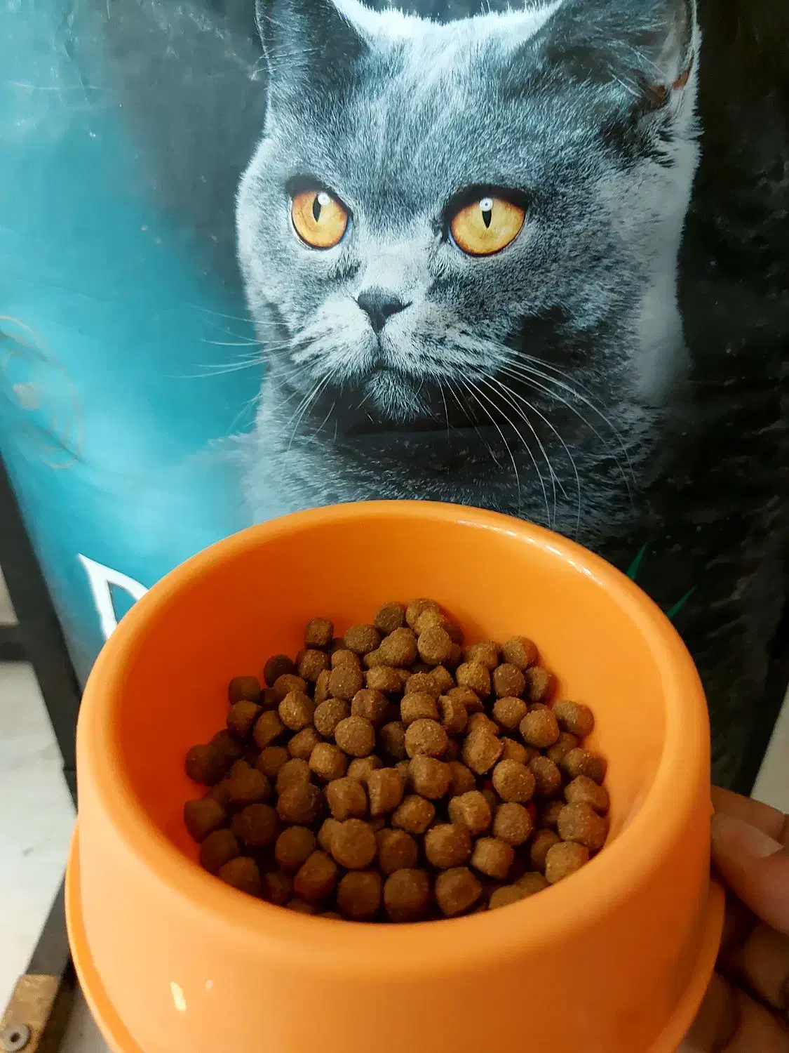 غذای خشک گربه عقیم شده رفلکس|لوازم جانبی حیوانات|اصفهان, باغ زرشک|دیوار