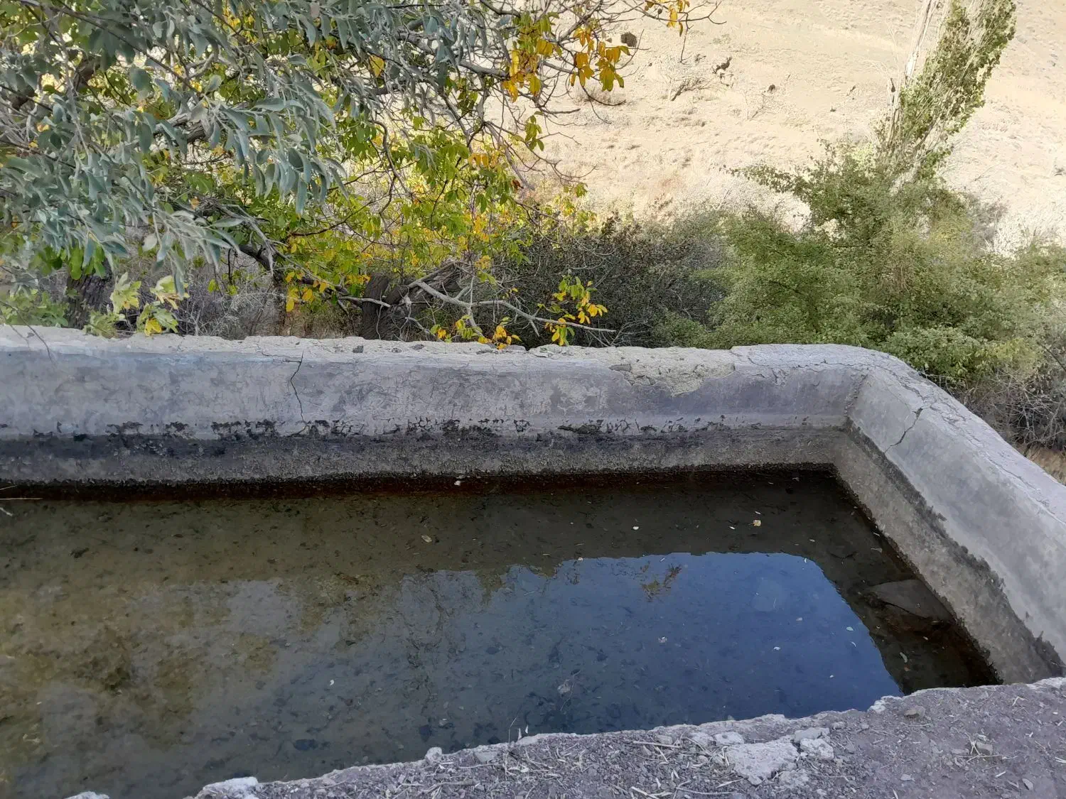 سوییت|اجارهٔ کوتاه‌مدت آپارتمان و سوئیت|بجنورد, |دیوار