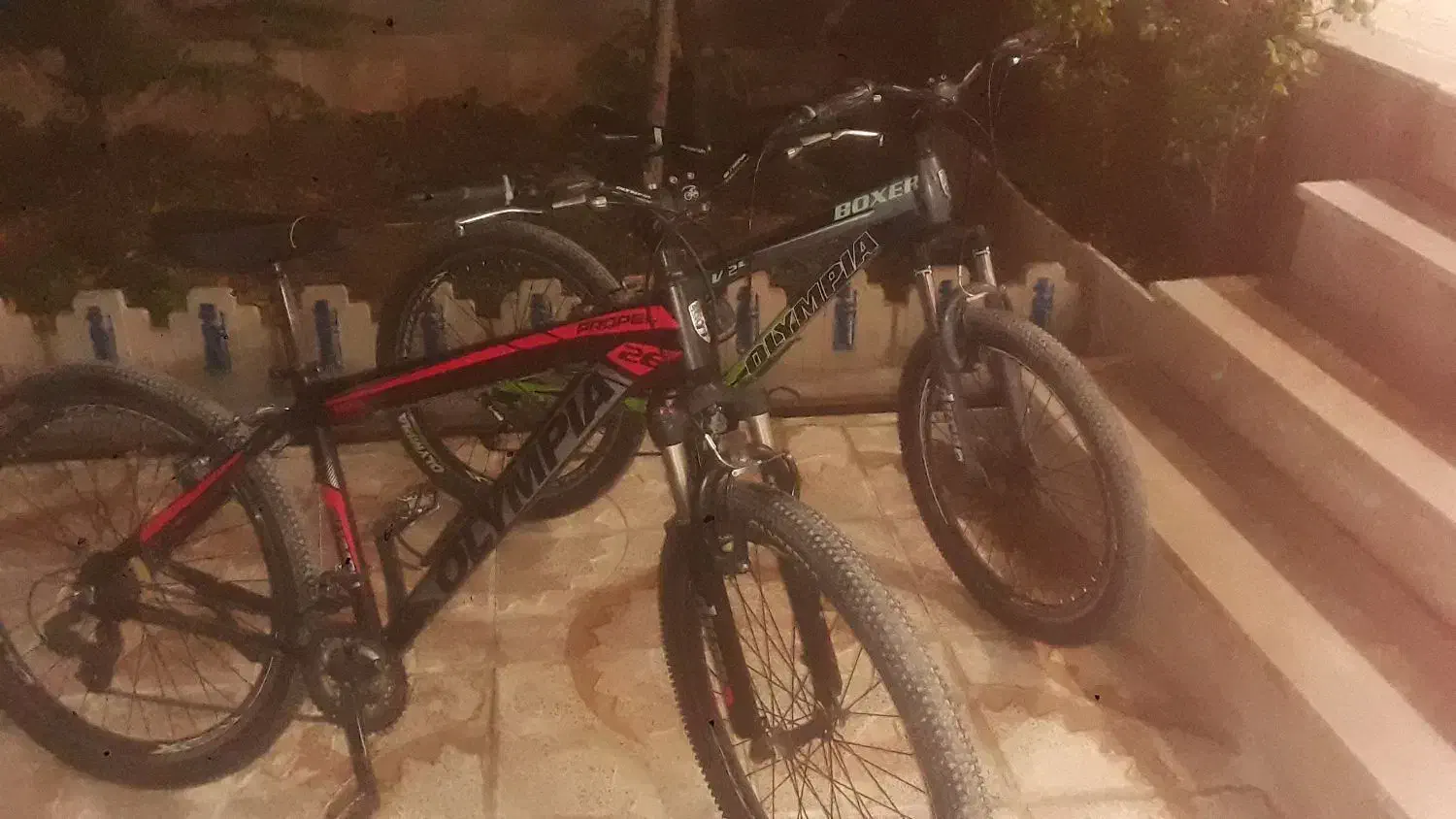 یک عدد دوچرخه سایز ۲۴|دوچرخه، اسکیت، اسکوتر|خزل, |دیوار