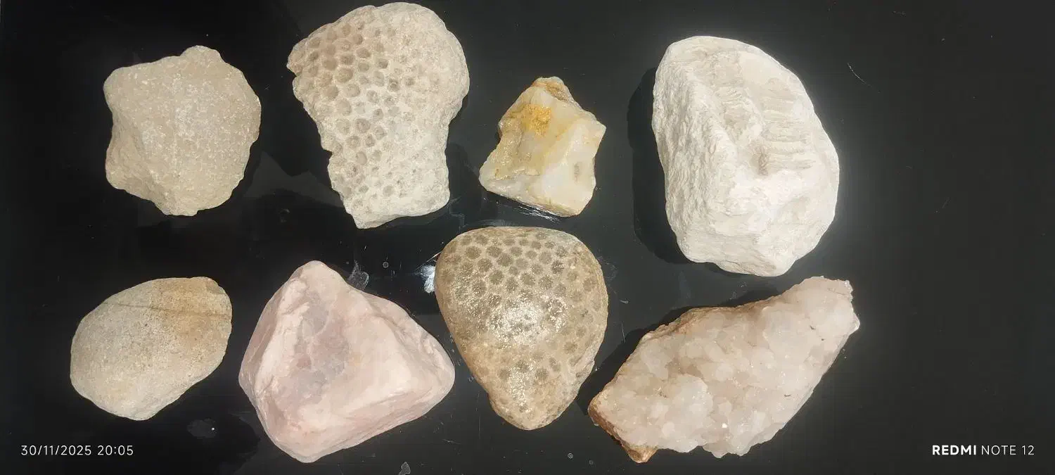 سنگ های عقیق عصلی ، ،کوارتز ،سیترین،صف دو کفه ای|کلکسیون و سرگرمی|چالدران, |دیوار