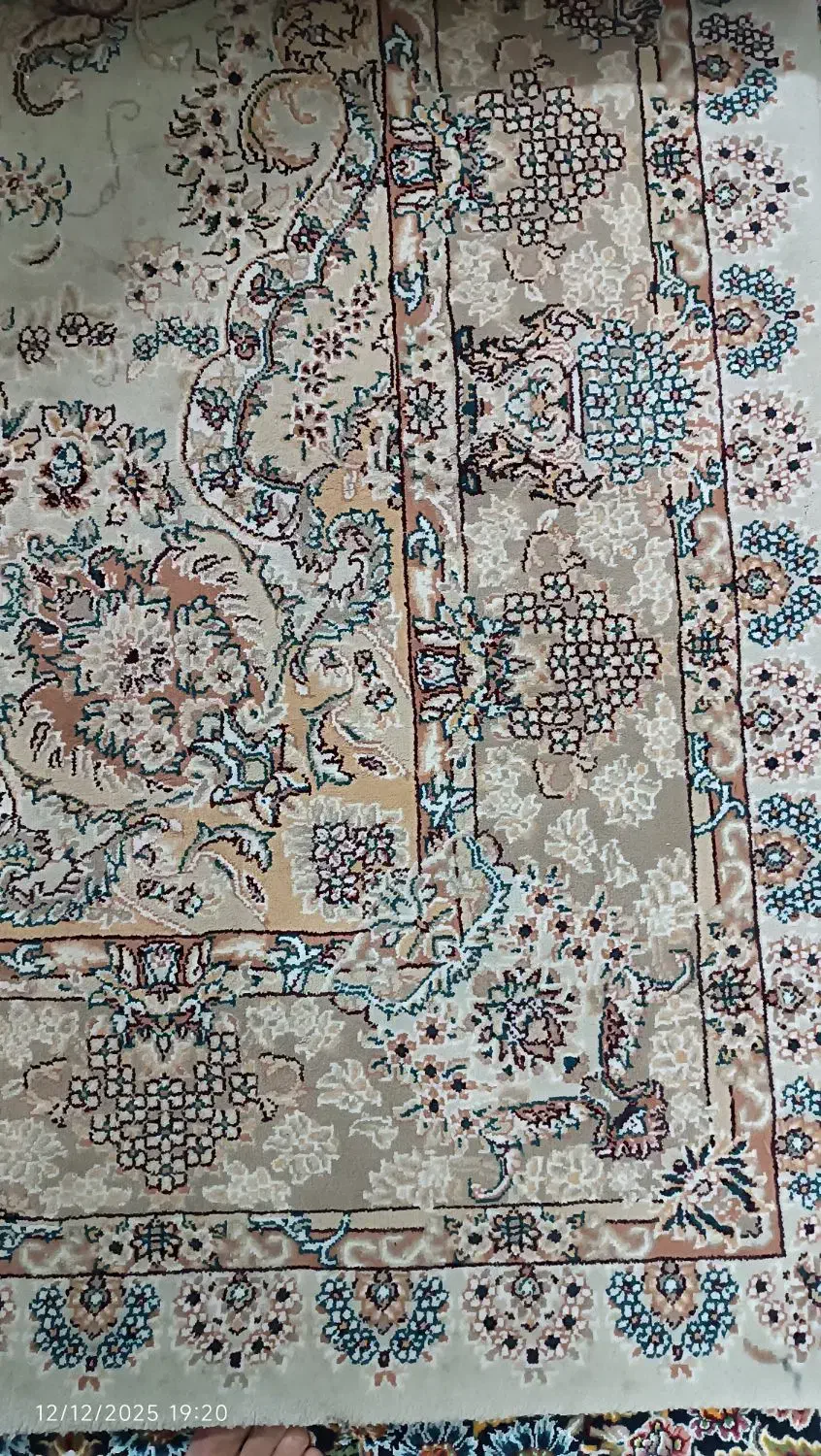 ۲عدد فرش ۶متری و ۱ عدد فرش ۱۲ متری گردویی|فرش|پاکدشت, پاکدشت (مامازند)|دیوار