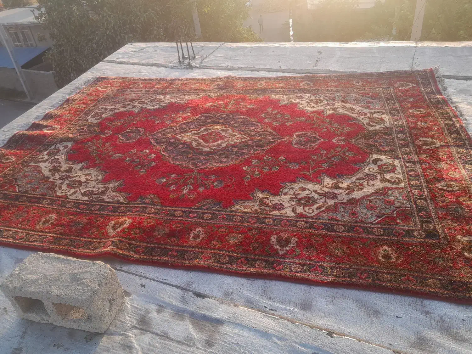 فرش دست بافت|فرش|سلماس, |دیوار