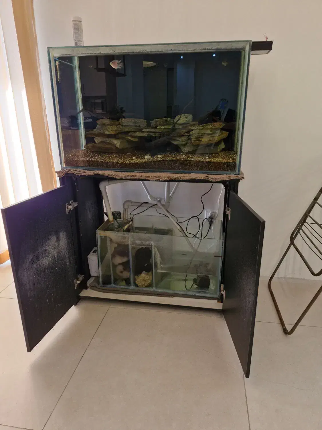 اکواریوم بزرگ و سامپ دست ساز|ماهی|بندرعباس, |دیوار