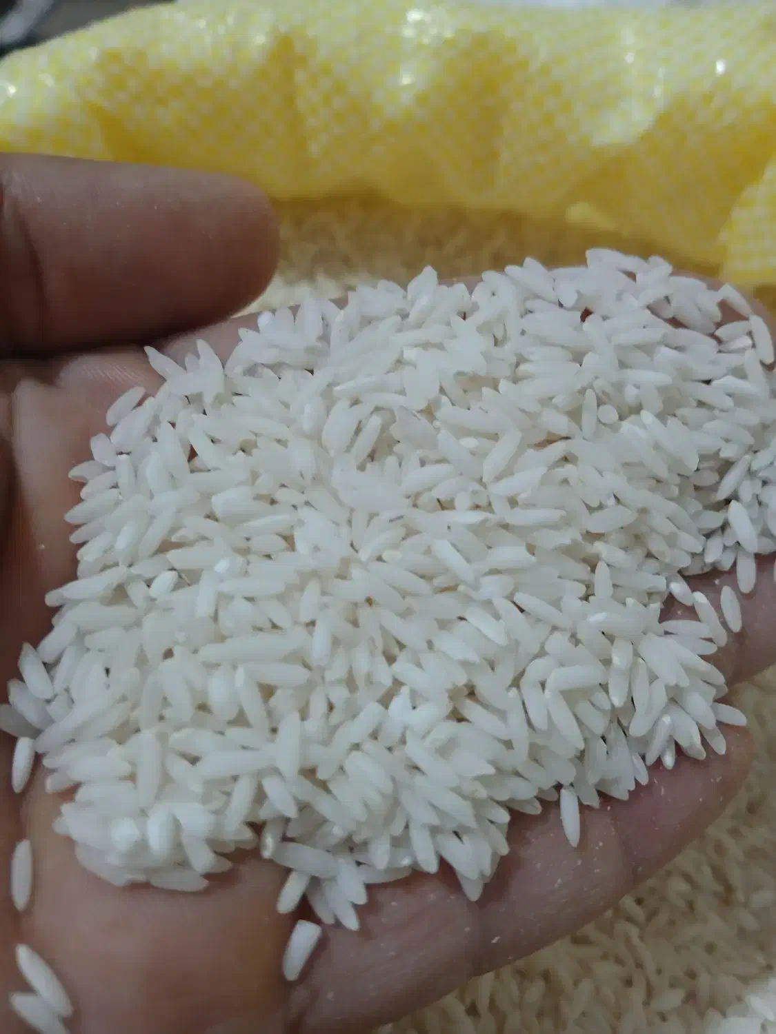 برنج درشت و درجه یک علی کاظمی شمال|خوردنی و آشامیدنی|قزوین, |دیوار