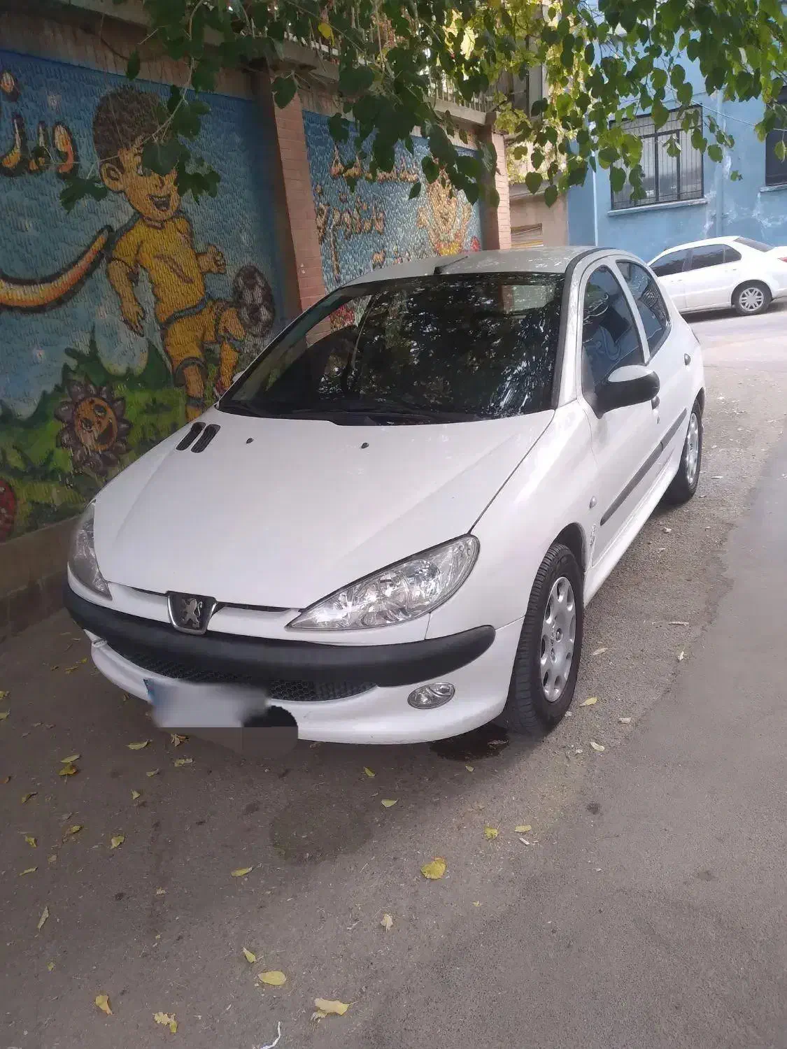 ۲۰۶ تیپ ۲|خودرو سواری و وانت|همدان, |دیوار