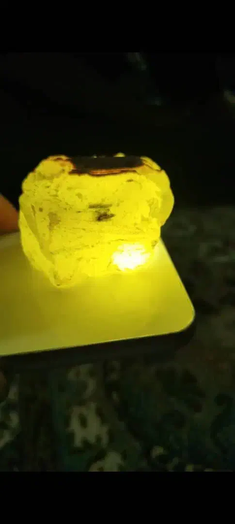 سنگ شجر دریایی|کلکسیون اشیاء عتیقه|تهران, شهرک طالقانی|دیوار