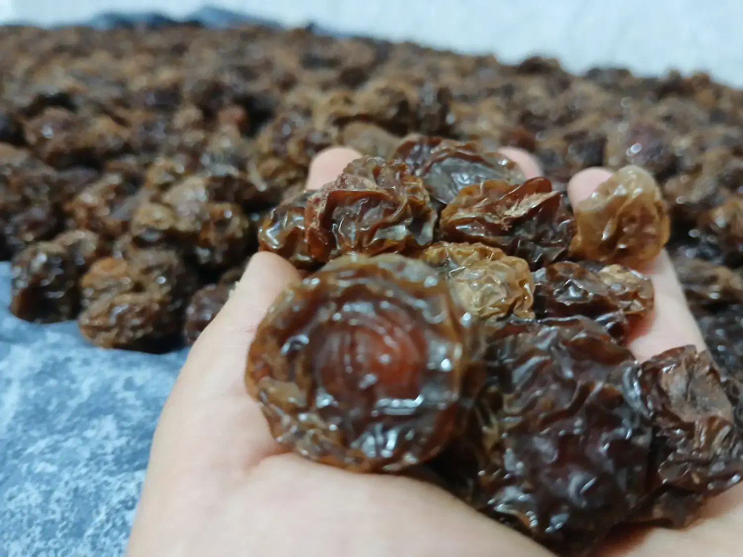 آلوچه آفتاب خشک|خوردنی و آشامیدنی|فولادشهر, فولادشهر|دیوار