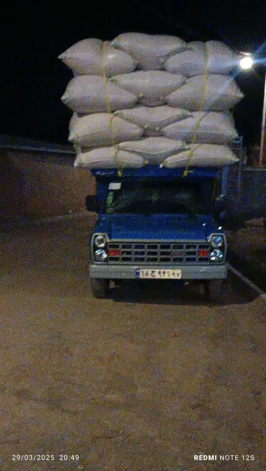 خرید و فروش کاه باقیمت روز|حیوانات مزرعه|قیدار, |دیوار