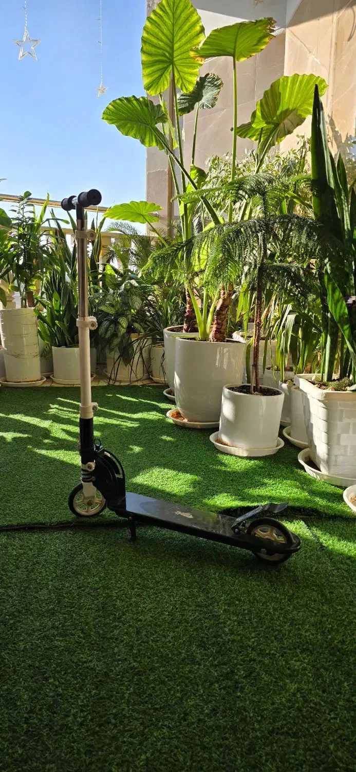 اسکوتر دخترونه|دوچرخه، اسکیت، اسکوتر|مشکین‌دشت, |دیوار