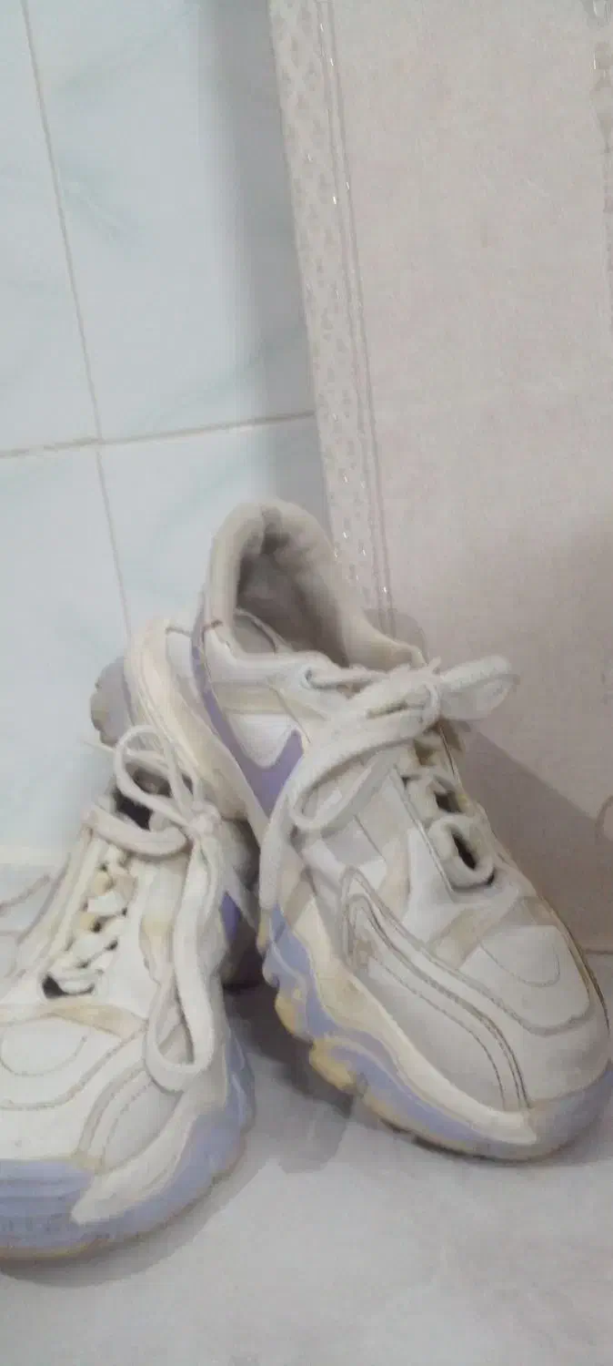 کفش زنونه|کیف، کفش، کمربند|خوی, |دیوار