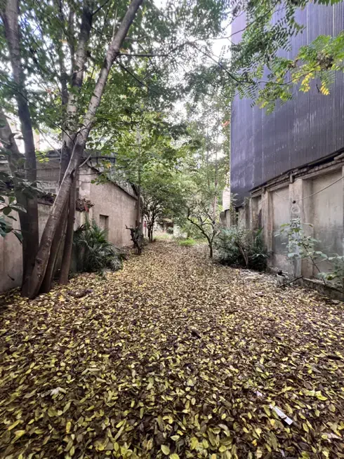 اجاره کافه رستوران بوتیک هتل|اجارهٔ مغازه و غرفه|رشت, چله خانه|دیوار